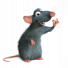Giovani